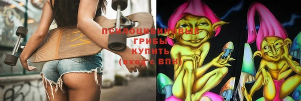 дмт Алексеевка