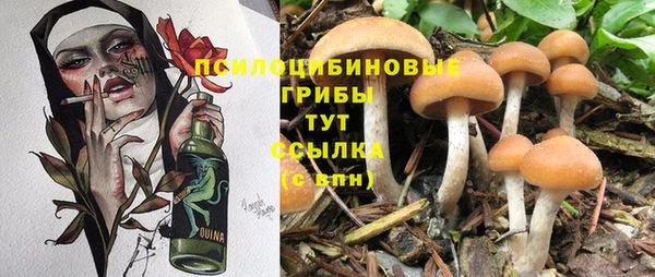 эйфоретик Заволжье