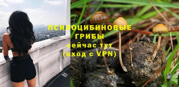 дмт Алексеевка