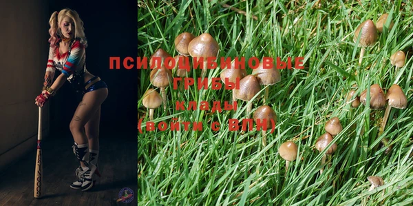 MESCALINE Абаза