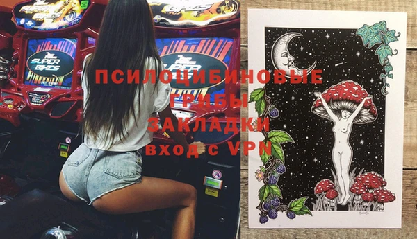дурь Алексин