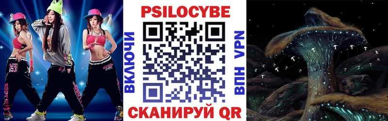 Псилоцибиновые грибы Psilocybine cubensis  наркошоп  гидра ссылка  Приозерск 